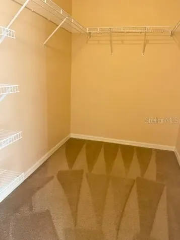 1135 Baronscourt Drive Wesley Chapel FL 33543