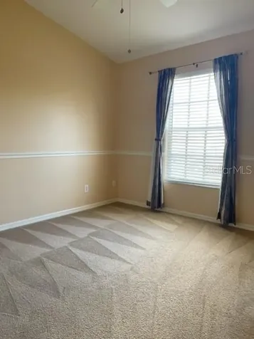 1135 Baronscourt Drive Wesley Chapel FL 33543