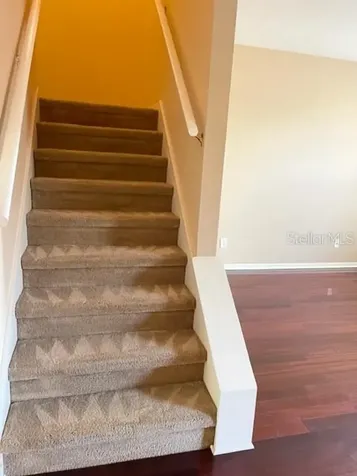 1135 Baronscourt Drive Wesley Chapel FL 33543
