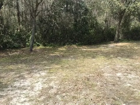 1135 Baronscourt Drive Wesley Chapel FL 33543