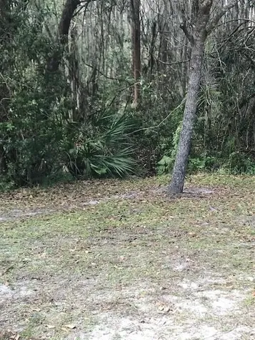 1135 Baronscourt Drive Wesley Chapel FL 33543