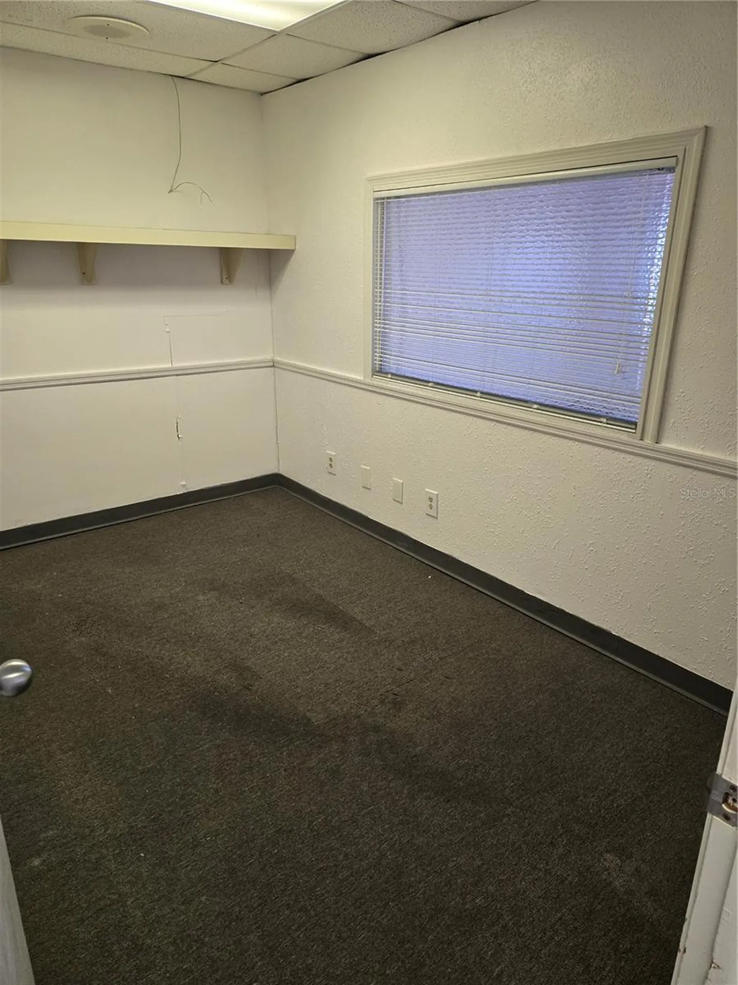 8831 49th Street N Pinellas Park FL 33782