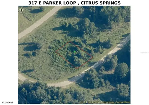 317 E Parker Loop Dunnellon FL 34434
