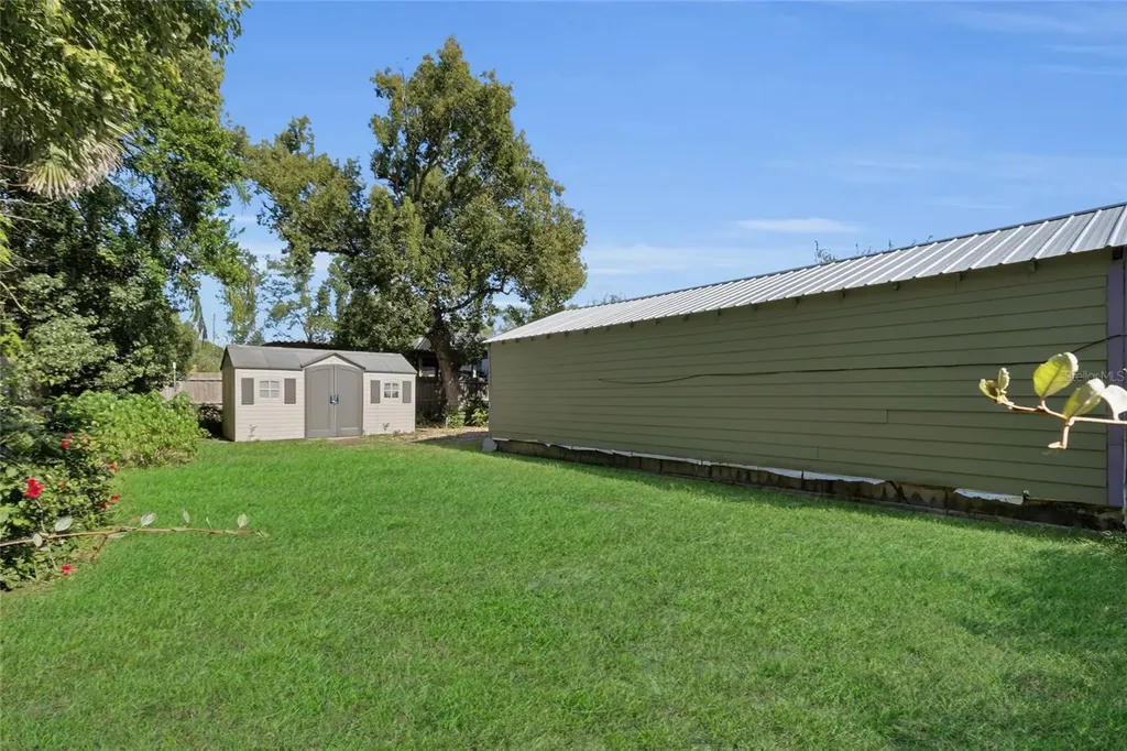 335 Simpson Mount Dora FL 32757