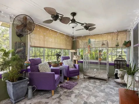 335 Simpson Mount Dora FL 32757