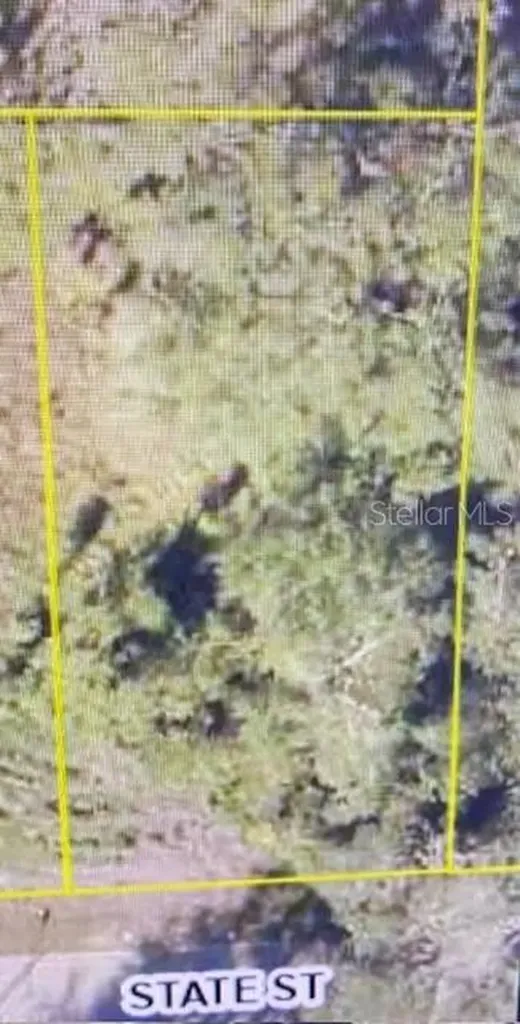 State Street Center Hill FL 33514