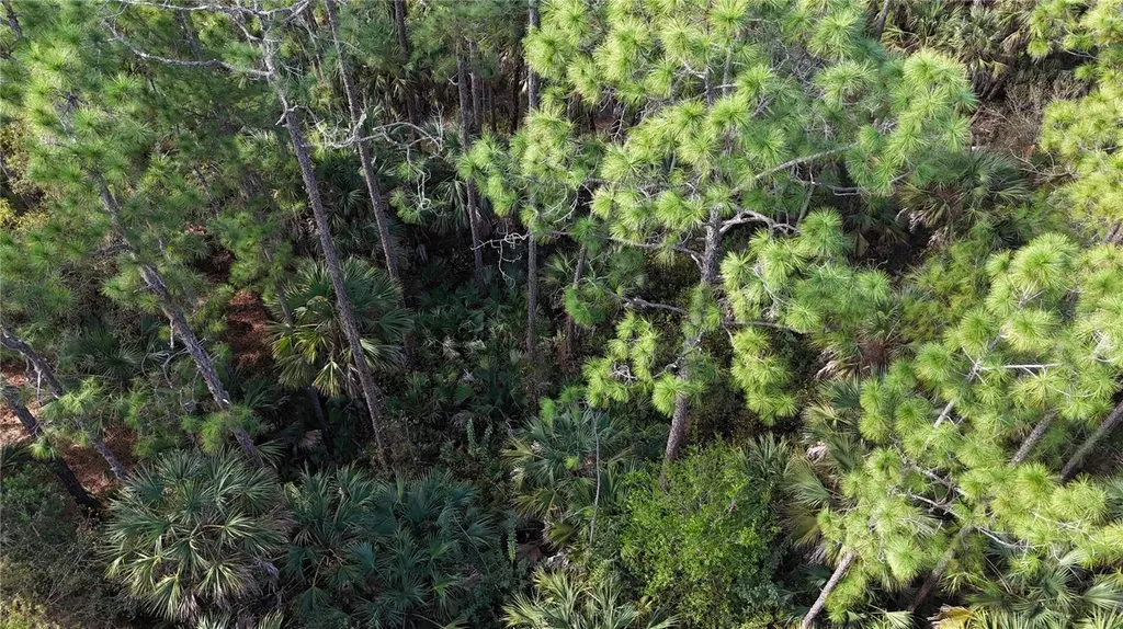 16TH Avenue SE Naples FL 34117