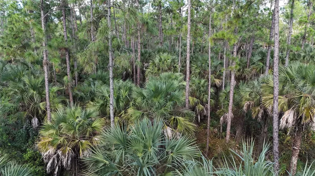 16TH Avenue SE Naples FL 34117