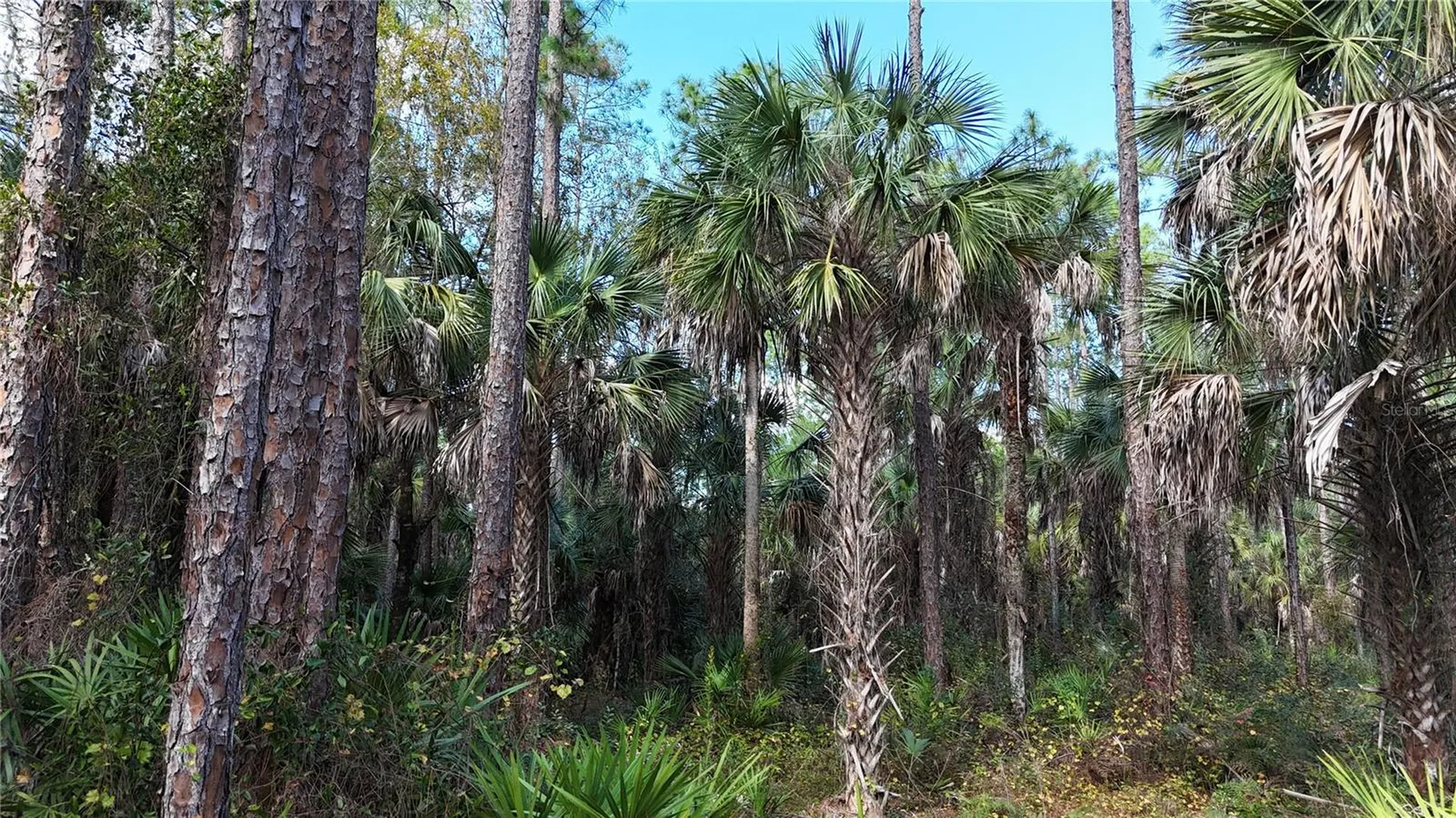 16TH Avenue SE Naples FL 34117