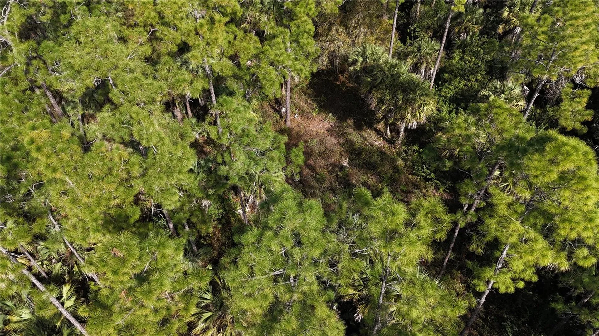 16TH Avenue SE Naples FL 34117