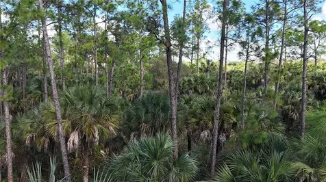 16TH Avenue SE Naples FL 34117