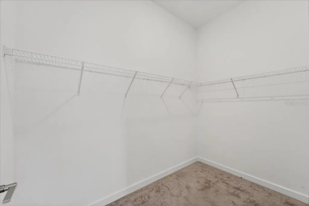 17173 Scuba Crest Street Wimauma FL 33598