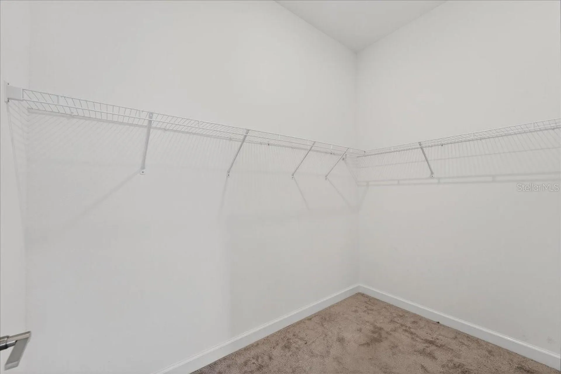 17173 Scuba Crest Street Wimauma FL 33598