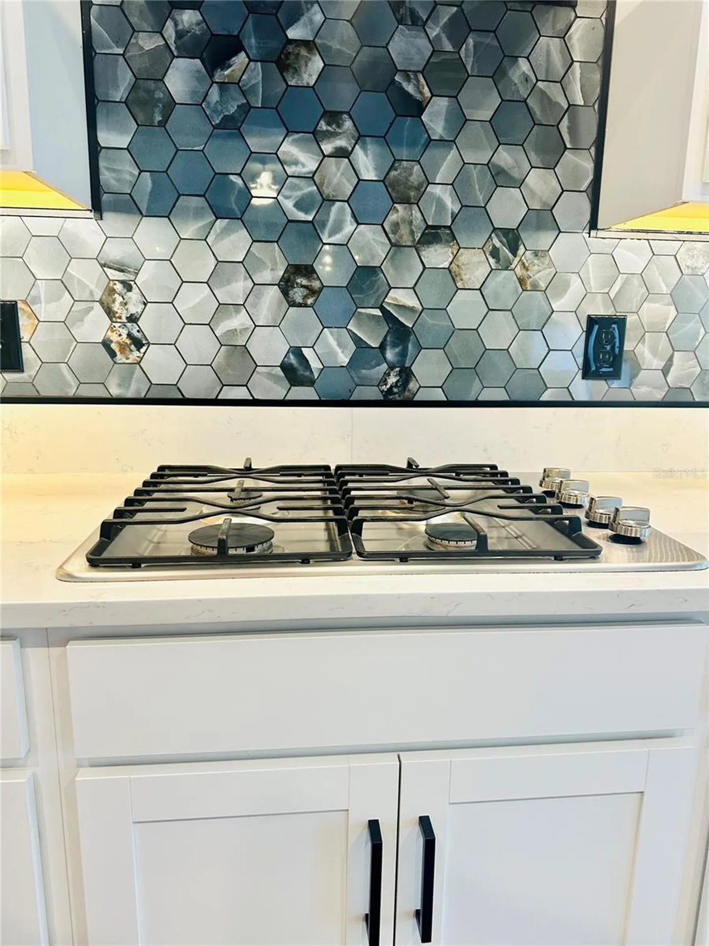 17173 Scuba Crest Street Wimauma FL 33598