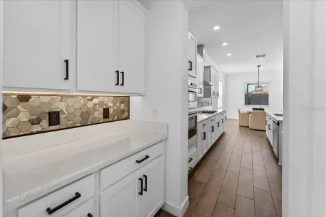 17173 Scuba Crest Street Wimauma FL 33598