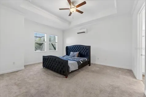 17173 Scuba Crest Street Wimauma FL 33598