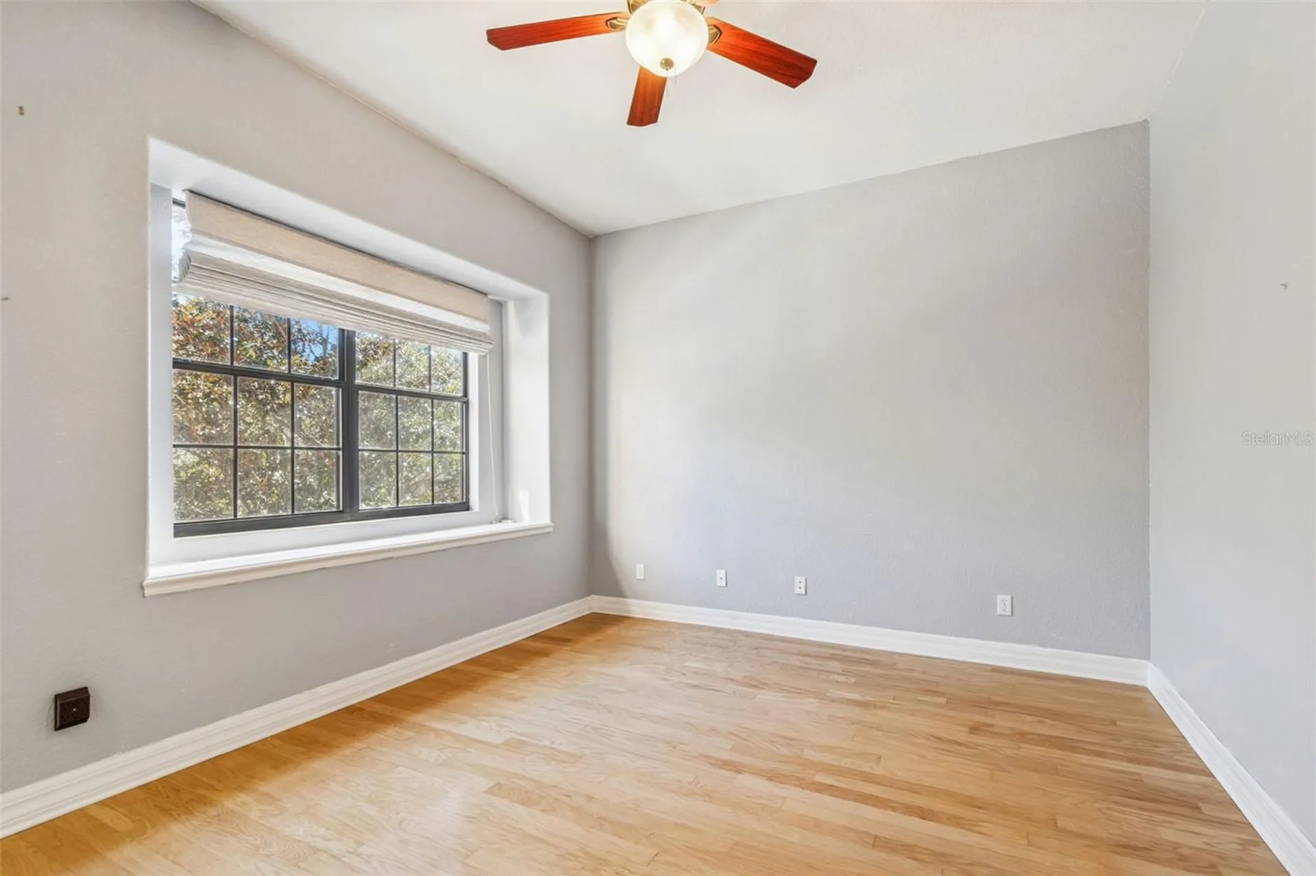 1652 Citrine Trail Tarpon Springs FL 34689