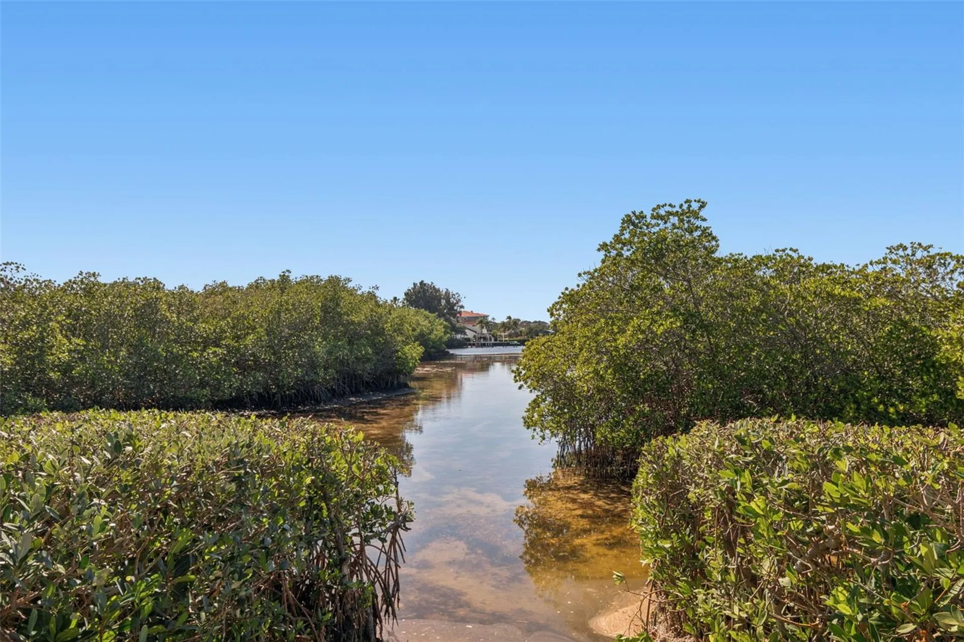 1652 Citrine Trail Tarpon Springs FL 34689