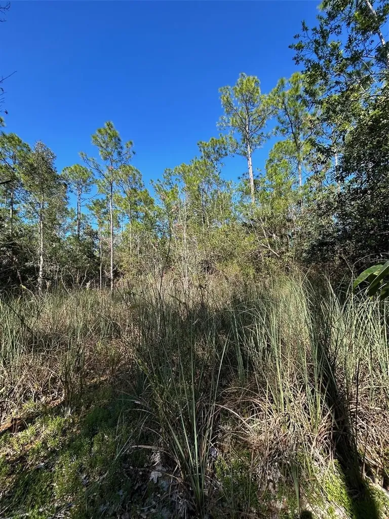 N/a Naples FL 34120