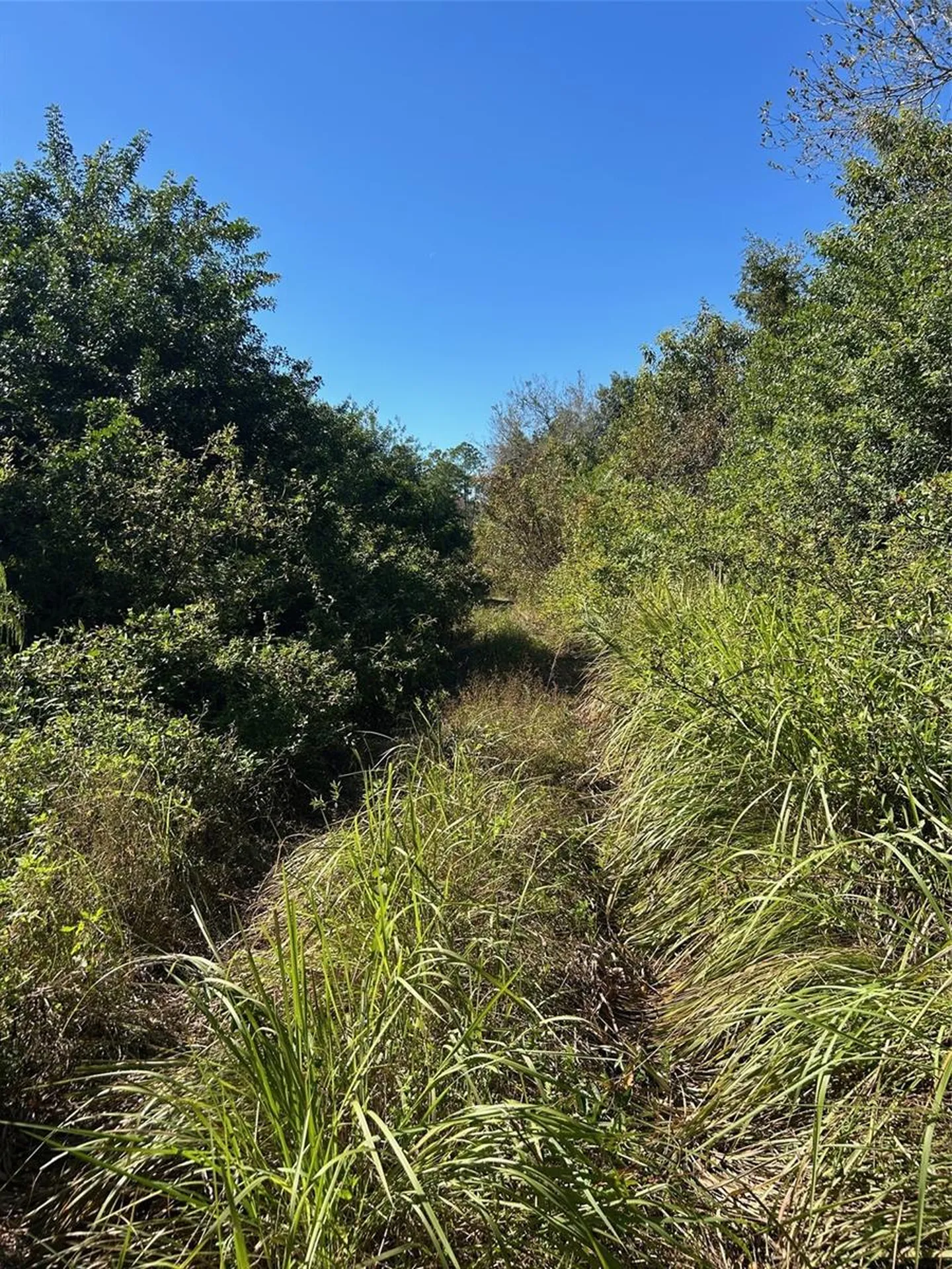 N/a Naples FL 34120