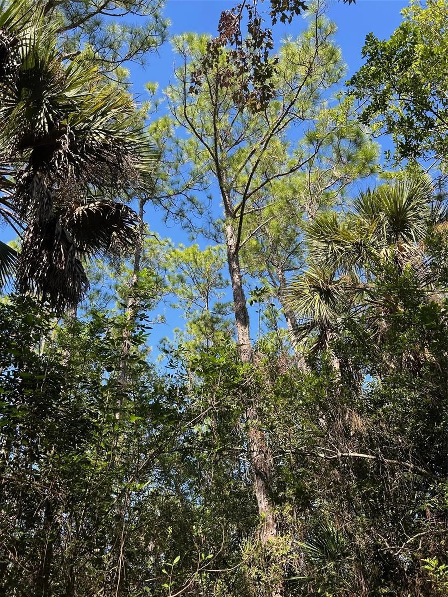 N/a Naples FL 34120