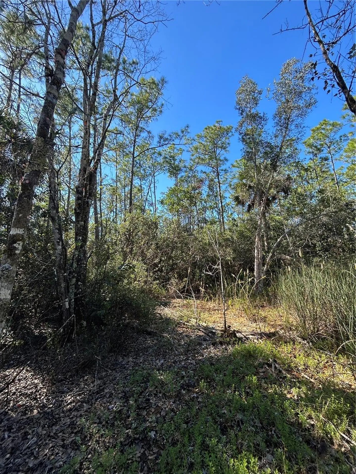 N/a Naples FL 34120