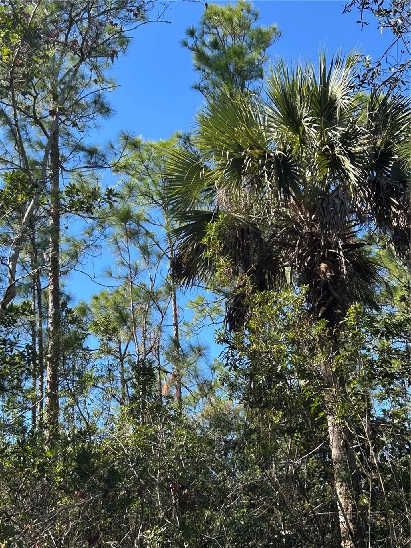 N/a Naples FL 34120