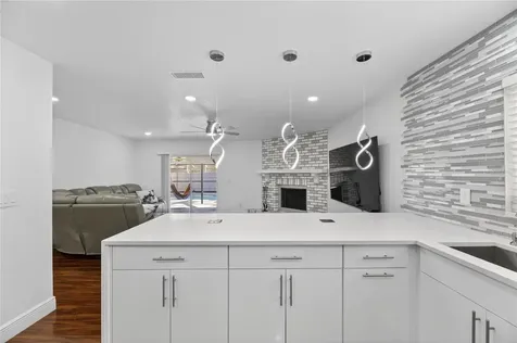 4016 Orangefield Place Valrico FL 33596