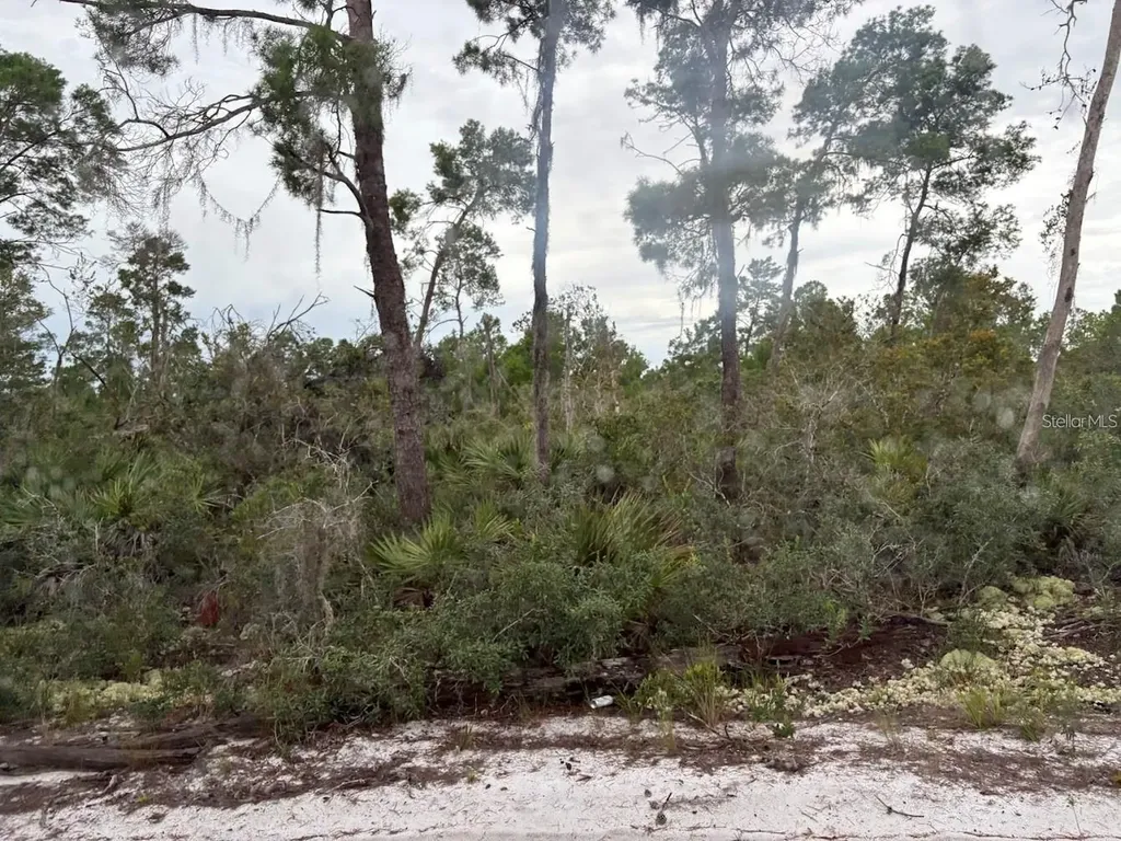 5932, Canopy Road Sebring FL 33875