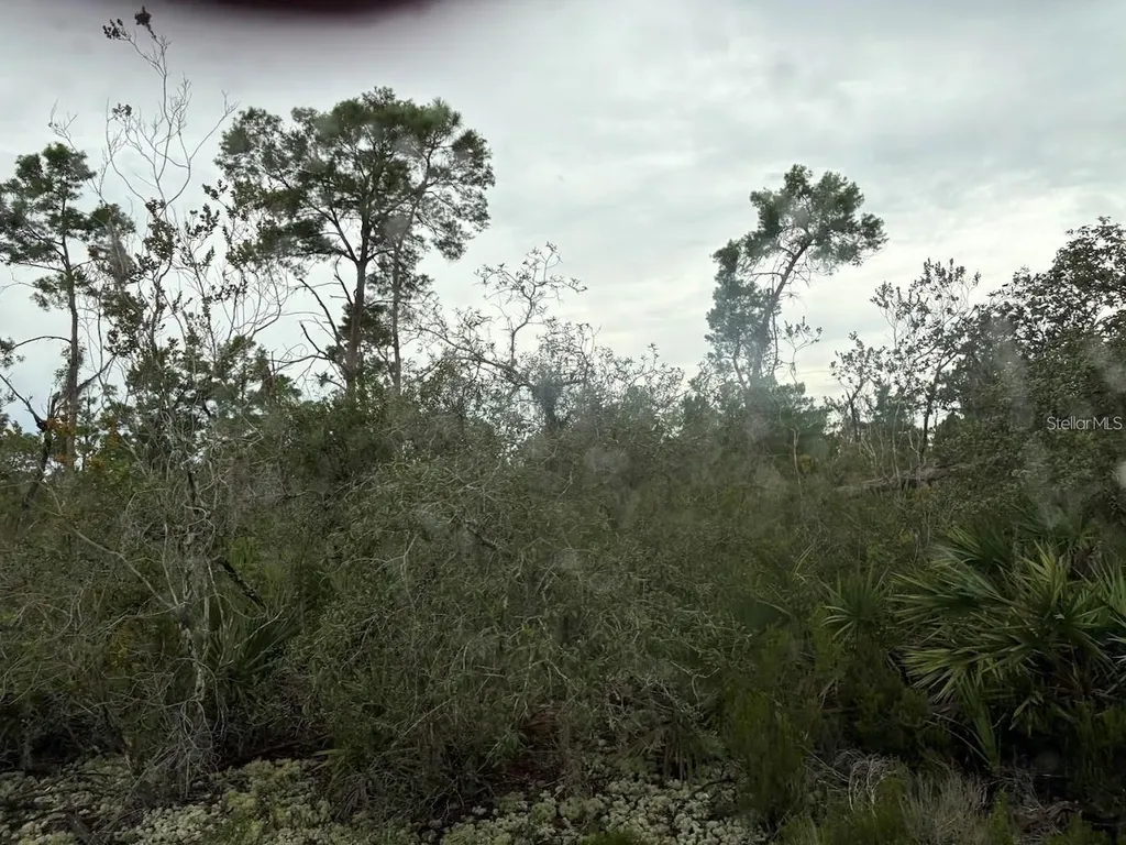 5932, Canopy Road Sebring FL 33875