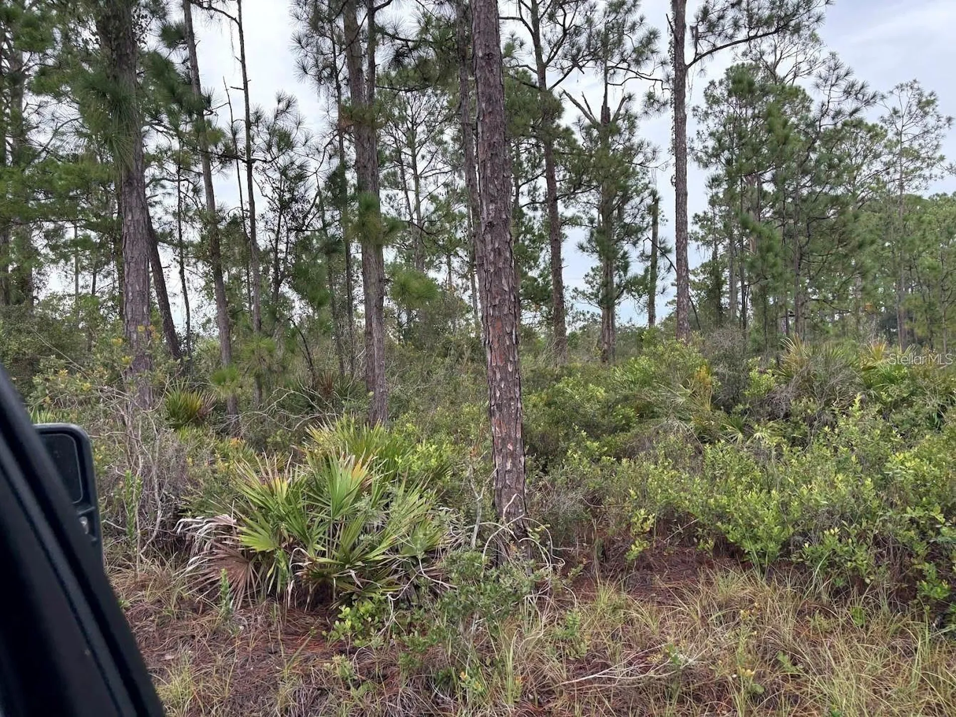 5932, Canopy Road Sebring FL 33875