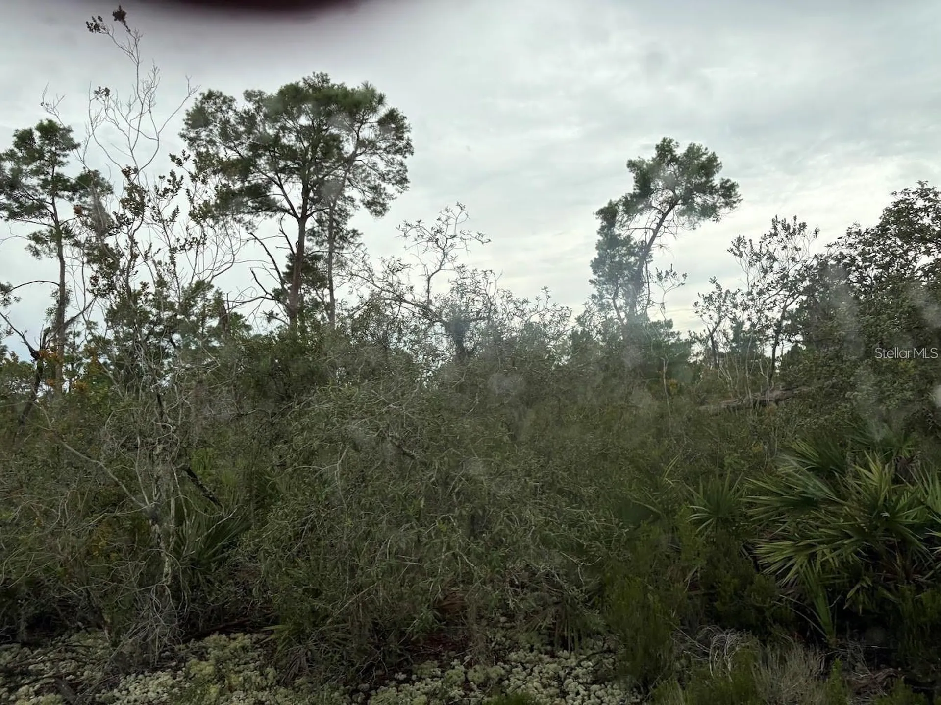 5932, Canopy Road Sebring FL 33875