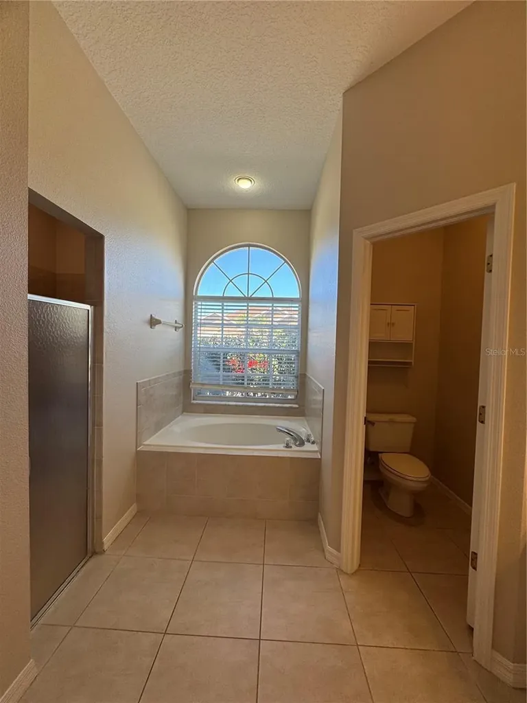 28724 Hanging Moss Loop Wesley Chapel FL 33543