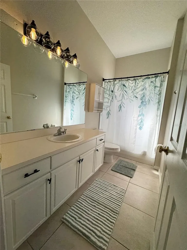 28724 Hanging Moss Loop Wesley Chapel FL 33543