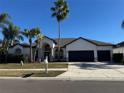28724 Hanging Moss Loop Wesley Chapel FL 33543