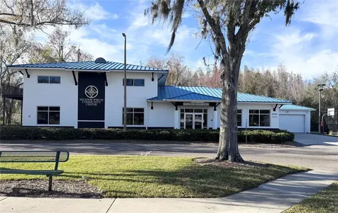 28724 Hanging Moss Loop Wesley Chapel FL 33543