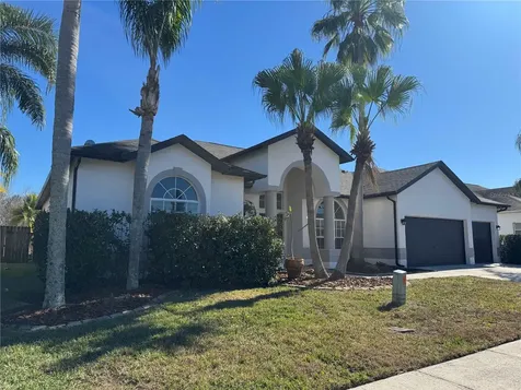 28724 Hanging Moss Loop Wesley Chapel FL 33543