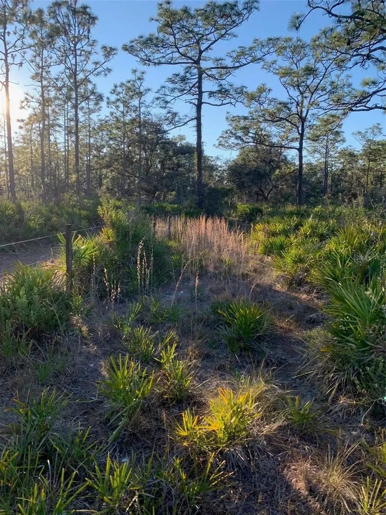 49 Fenny Bosk Trail Venus FL 33960