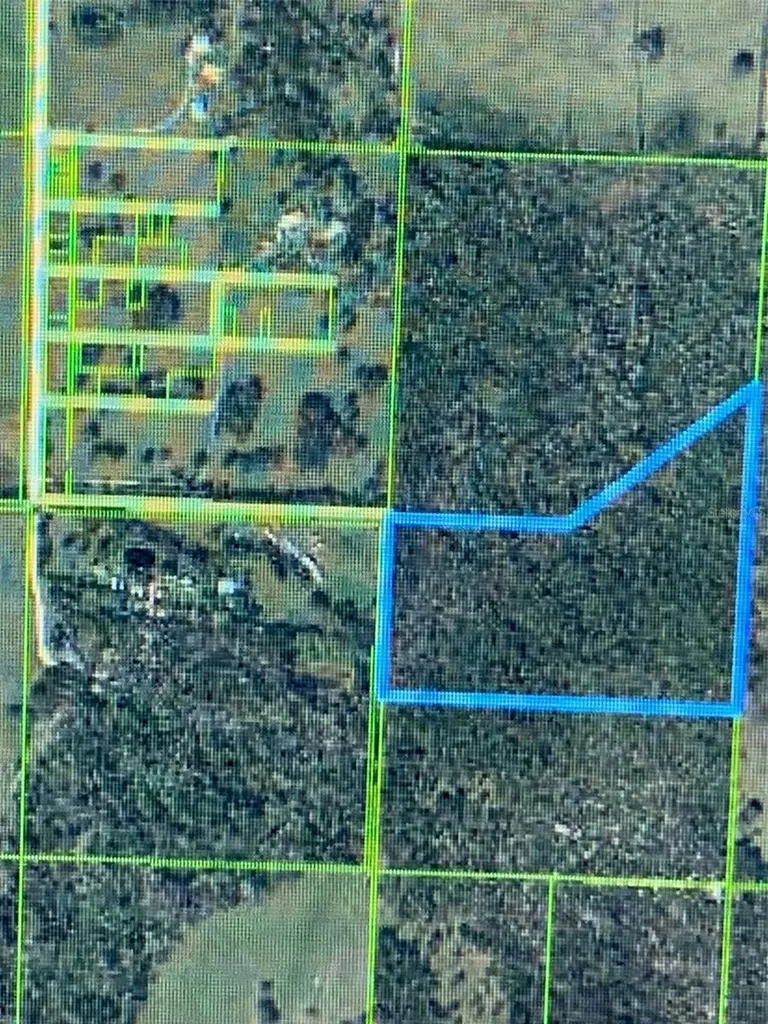49 Fenny Bosk Trail Venus FL 33960