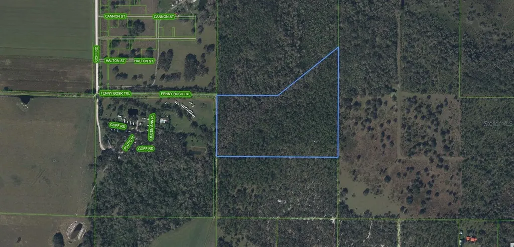 49 Fenny Bosk Trail Venus FL 33960
