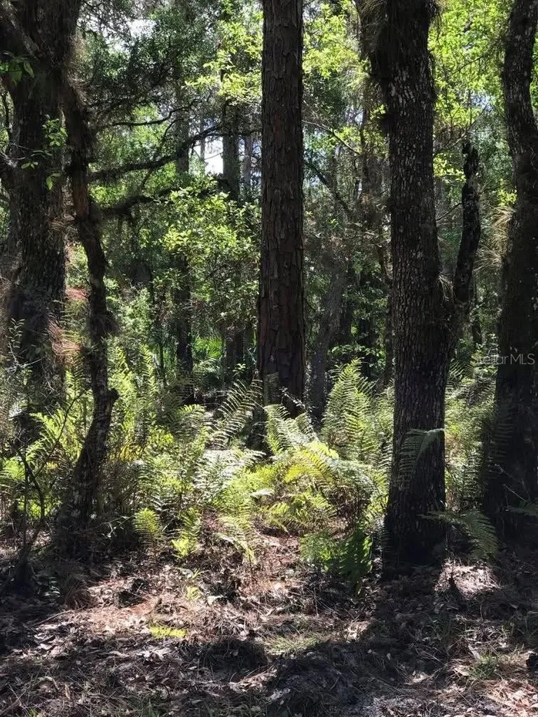 49 Fenny Bosk Trail Venus FL 33960