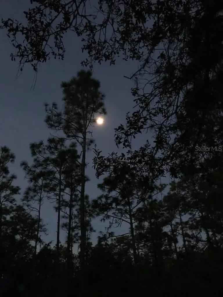 49 Fenny Bosk Trail Venus FL 33960