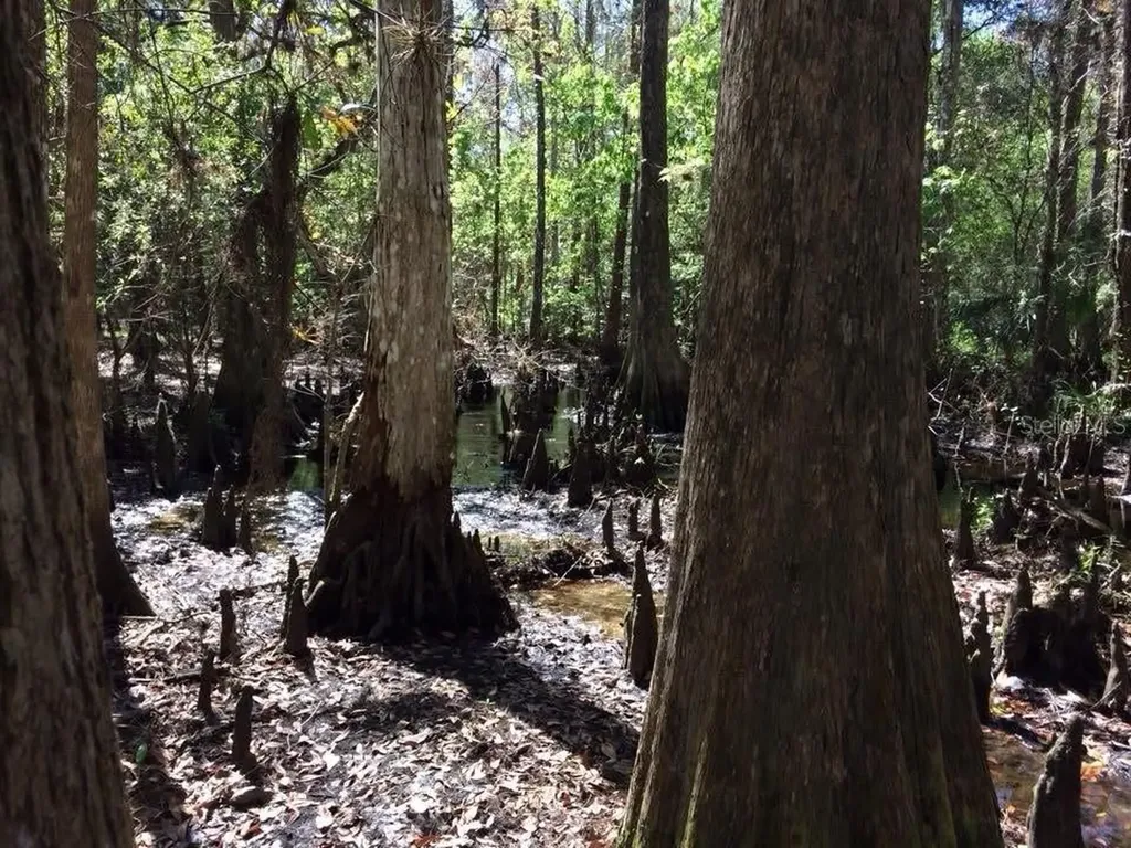 49 Fenny Bosk Trail Venus FL 33960