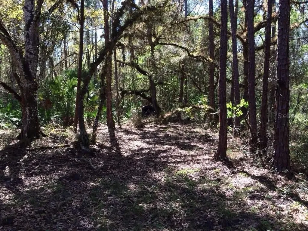 49 Fenny Bosk Trail Venus FL 33960