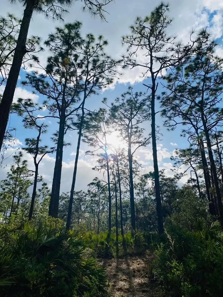 49 Fenny Bosk Trail Venus FL 33960