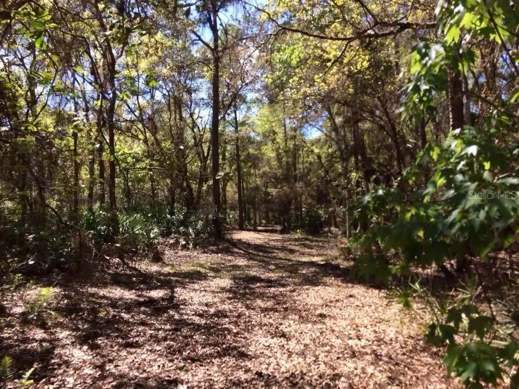 49 Fenny Bosk Trail Venus FL 33960