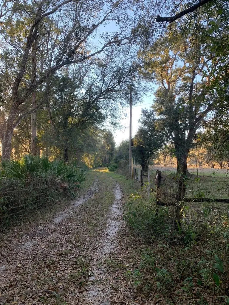 49 Fenny Bosk Trail Venus FL 33960