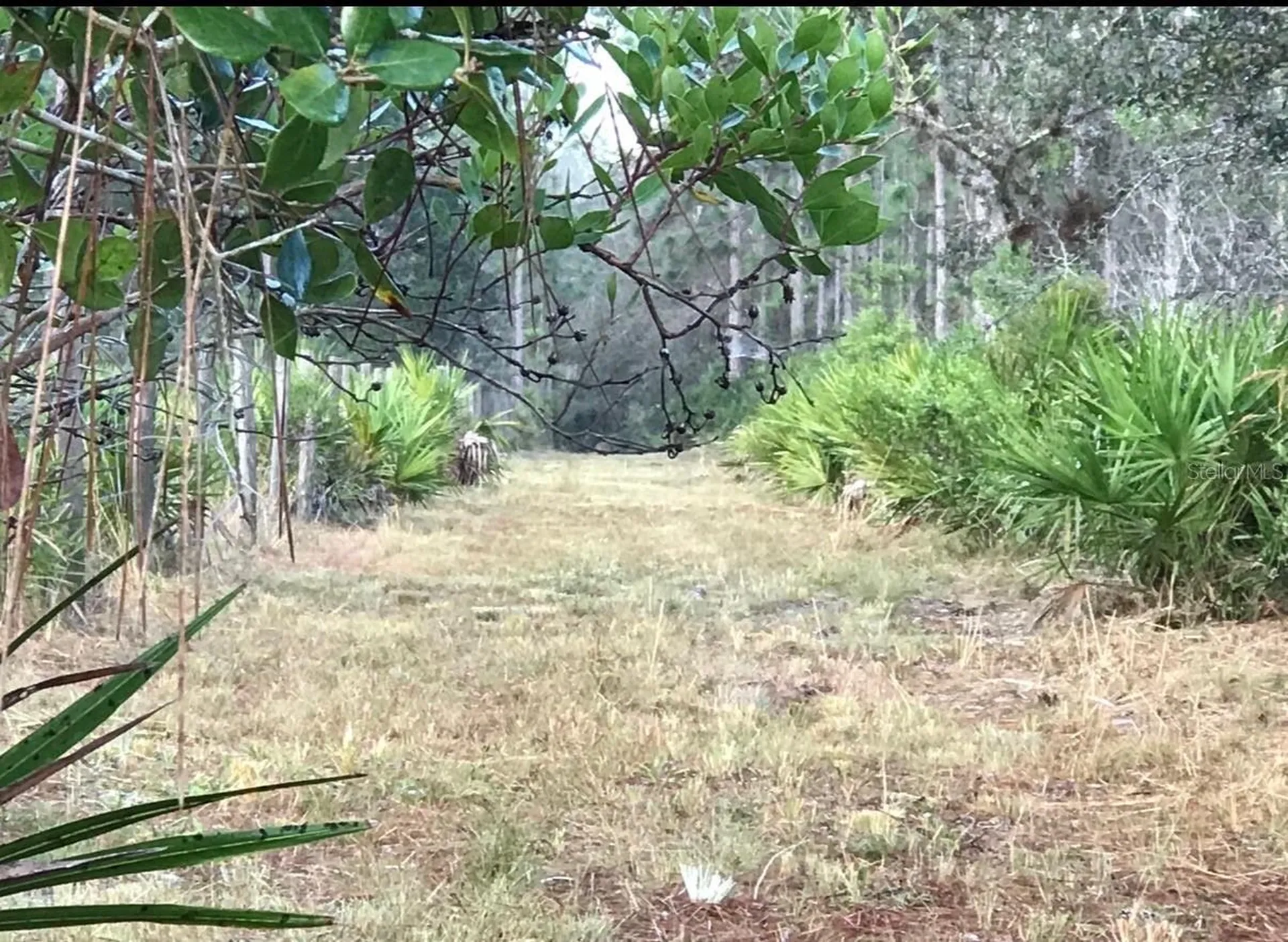 49 Fenny Bosk Trail Venus FL 33960