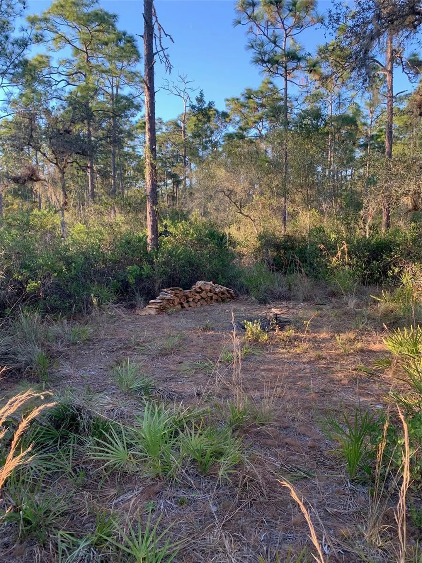 49 Fenny Bosk Trail Venus FL 33960