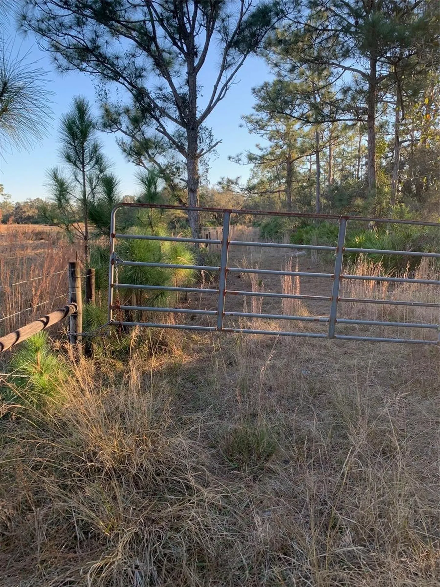 49 Fenny Bosk Trail Venus FL 33960